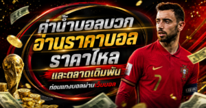 ค่าน้ำบอลบวกเว็บแทงบอล