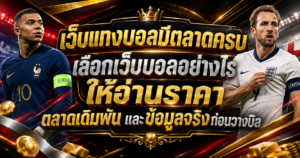 เว็บแทงบอลมีตลาดครบ
