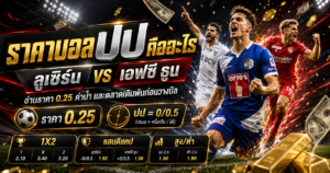 ราคาบอลปป